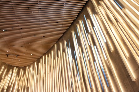 Northern Lights Cathedral