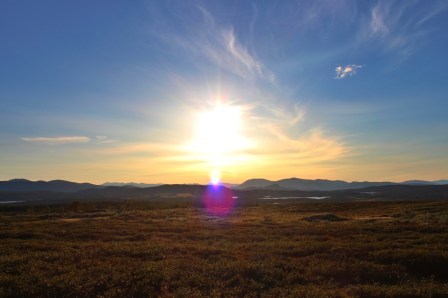 Buen paisaje en camino de pago